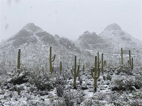 圖森冬天天氣如何，沙漠中的雪花是否會跳舞？