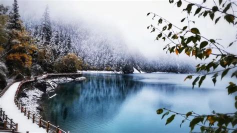 九寨溝什麼時候下雪 九寨溝的雪景是否與當地氣候條件相符